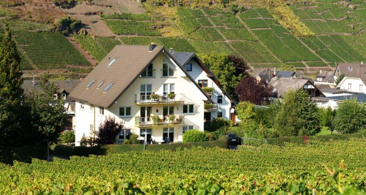Ferienhaus Zenz - Ferienwohungen Ernst Exterior foto